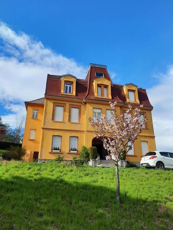 Studio Soleil Au Hohwald ภายนอก รูปภาพ