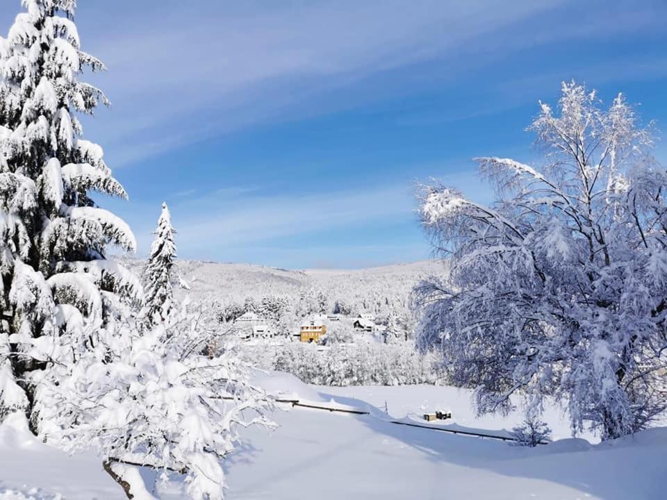 Studio Soleil Au Hohwald ภายนอก รูปภาพ