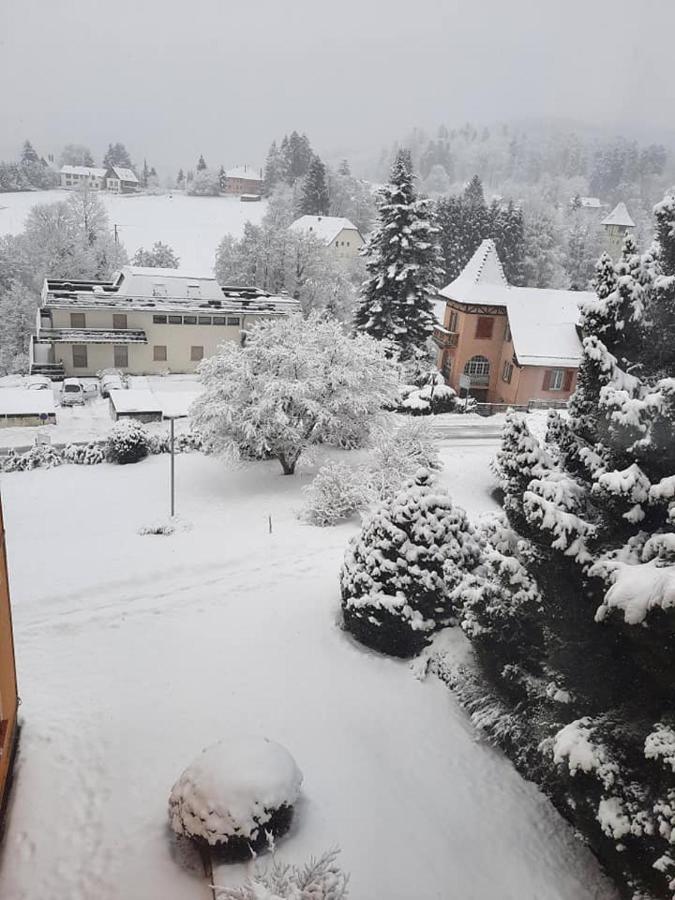 Studio Soleil Au Hohwald ภายนอก รูปภาพ